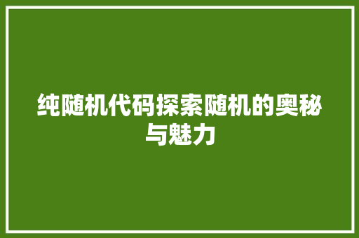 纯随机代码探索随机的奥秘与魅力