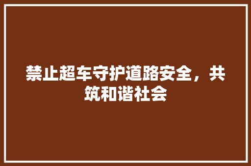 禁止超车守护道路安全，共筑和谐社会