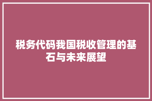 税务代码我国税收管理的基石与未来展望