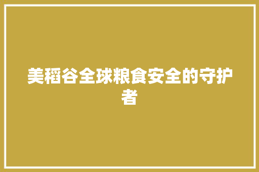 美稻谷全球粮食安全的守护者
