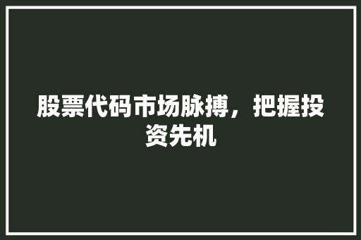 股票代码市场脉搏，把握投资先机