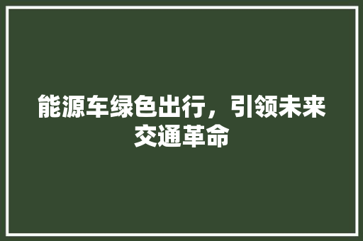 能源车绿色出行，引领未来交通革命