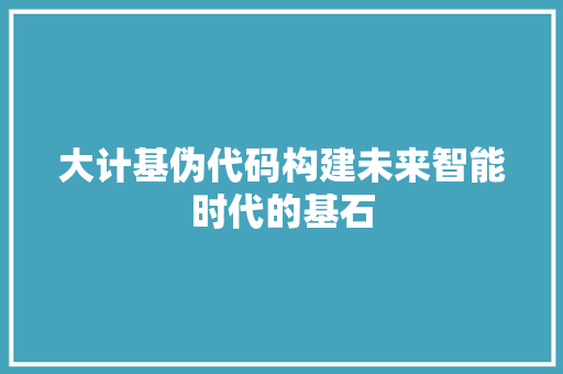 大计基伪代码构建未来智能时代的基石