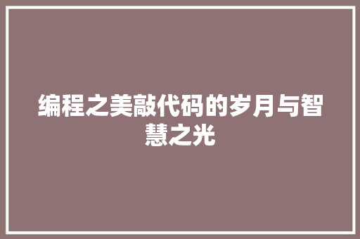 编程之美敲代码的岁月与智慧之光