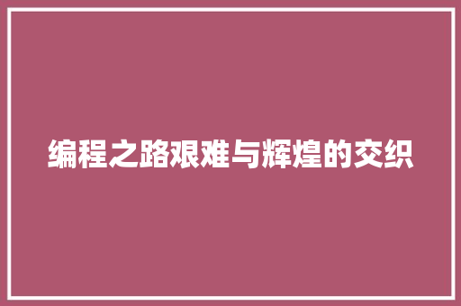 编程之路艰难与辉煌的交织