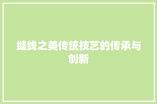 缝线之美传统技艺的传承与创新