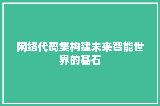 网络代码集构建未来智能世界的基石