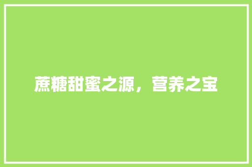 蔗糖甜蜜之源，营养之宝