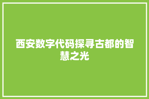 西安数字代码探寻古都的智慧之光