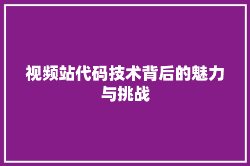 视频站代码技术背后的魅力与挑战