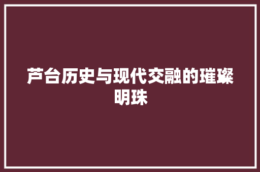芦台历史与现代交融的璀璨明珠