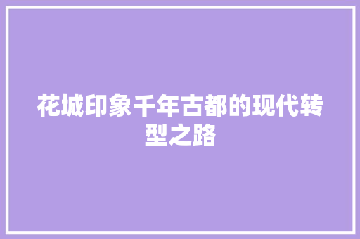 花城印象千年古都的现代转型之路