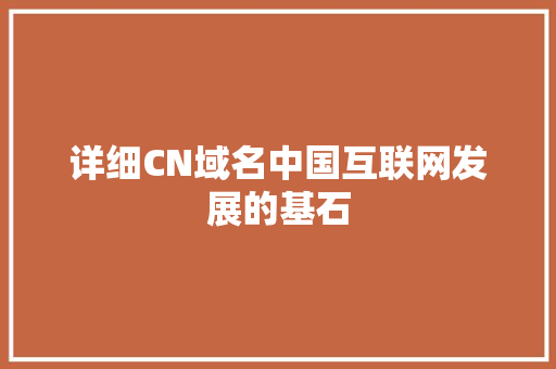 详细CN域名中国互联网发展的基石