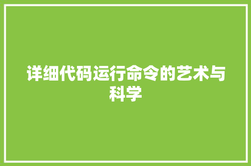详细代码运行命令的艺术与科学