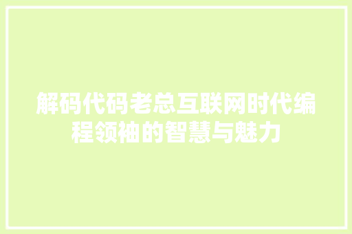 解码代码老总互联网时代编程领袖的智慧与魅力