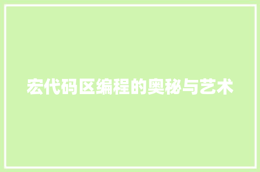 宏代码区编程的奥秘与艺术