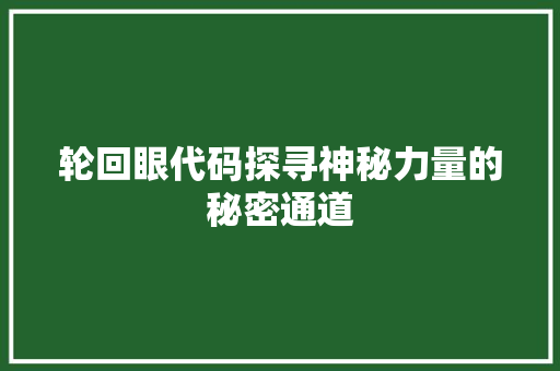 轮回眼代码探寻神秘力量的秘密通道