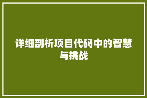 详细剖析项目代码中的智慧与挑战