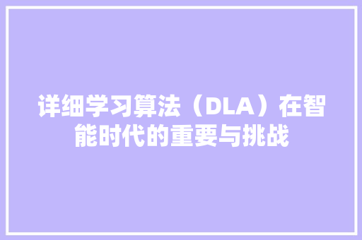 详细学习算法（DLA）在智能时代的重要与挑战