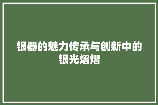 银器的魅力传承与创新中的银光熠熠