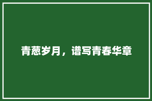 青葱岁月，谱写青春华章