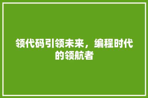 领代码引领未来，编程时代的领航者