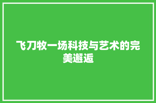 飞刀牧一场科技与艺术的完美邂逅