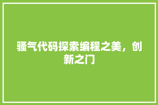 骚气代码探索编程之美，创新之门