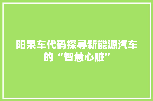 阳泉车代码探寻新能源汽车的“智慧心脏”