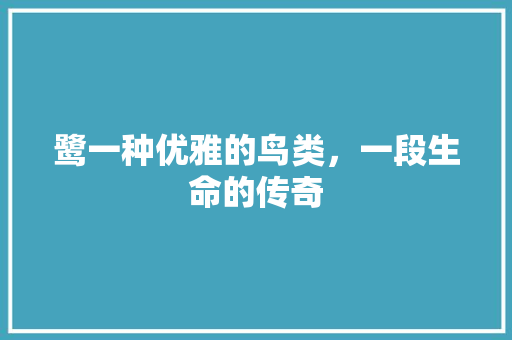鹭一种优雅的鸟类，一段生命的传奇