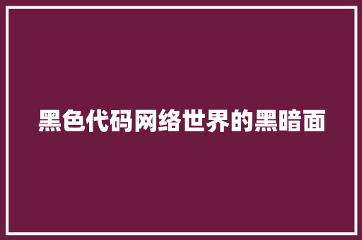 黑色代码网络世界的黑暗面