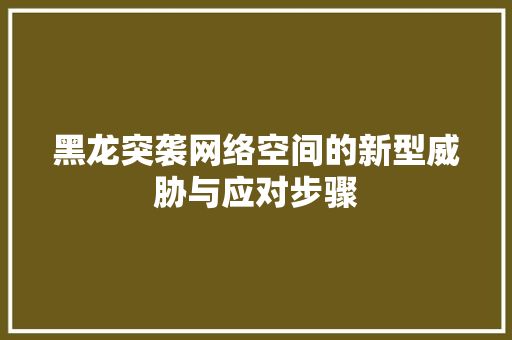 黑龙突袭网络空间的新型威胁与应对步骤