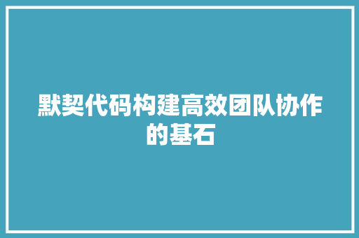 默契代码构建高效团队协作的基石