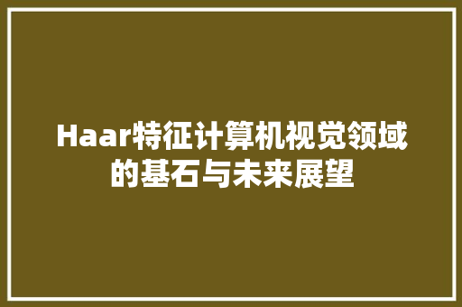 Haar特征计算机视觉领域的基石与未来展望