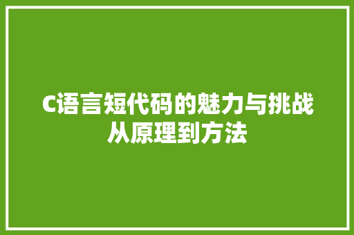 C语言短代码的魅力与挑战从原理到方法