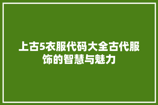 上古5衣服代码大全古代服饰的智慧与魅力