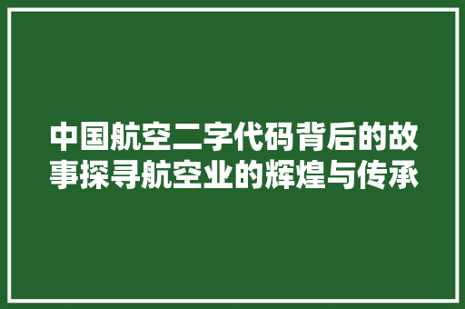中国航空二字代码背后的故事探寻航空业的辉煌与传承