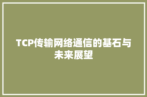 TCP传输网络通信的基石与未来展望
