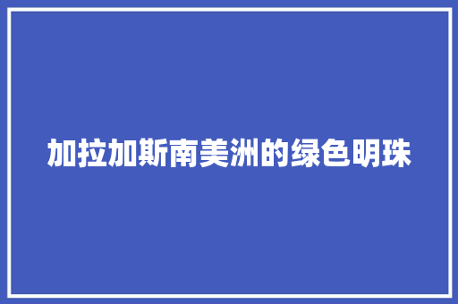 加拉加斯南美洲的绿色明珠