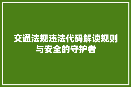 交通法规违法代码解读规则与安全的守护者