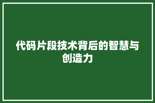 代码片段技术背后的智慧与创造力