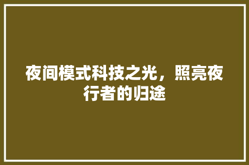 夜间模式科技之光，照亮夜行者的归途