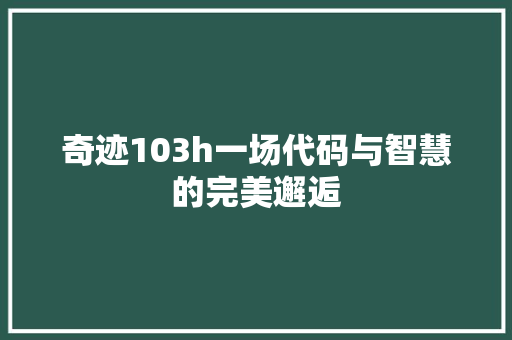 奇迹103h一场代码与智慧的完美邂逅