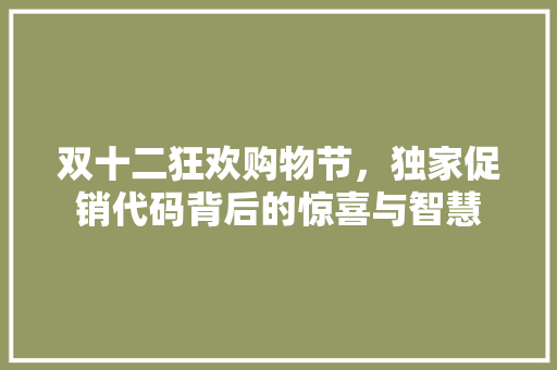 双十二狂欢购物节，独家促销代码背后的惊喜与智慧