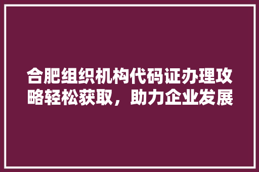 合肥组织机构代码证办理攻略轻松获取，助力企业发展