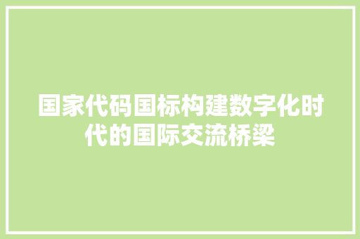 国家代码国标构建数字化时代的国际交流桥梁