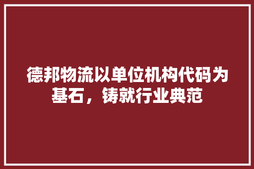 德邦物流以单位机构代码为基石，铸就行业典范