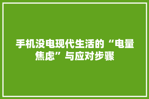 手机没电现代生活的“电量焦虑”与应对步骤