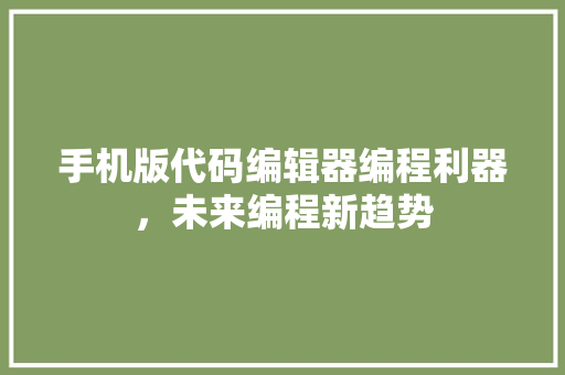 手机版代码编辑器编程利器，未来编程新趋势