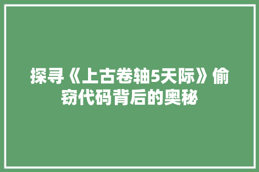 探寻《上古卷轴5天际》偷窃代码背后的奥秘